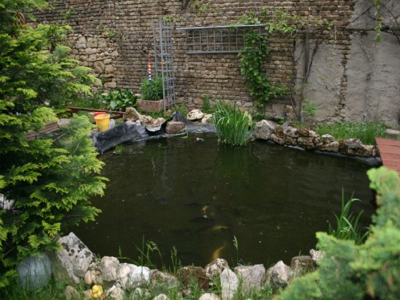 Der Teich soll optisch größer werden