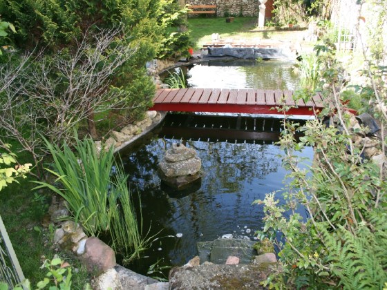 Der Teich mit Blickrichtung Norden