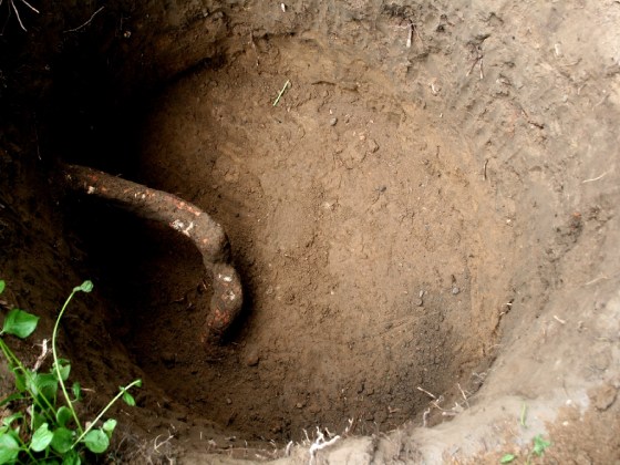 Wurzelwerk behindert die Ausgrabungen