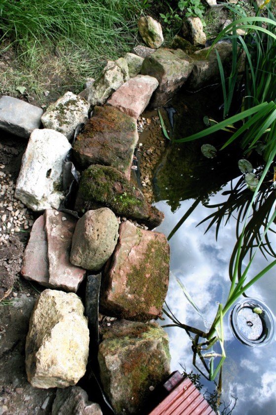 Die Folie wurde ausgegraben und zwischen den Steinen hochgezogen. Do liegen die zum Teich gewandten Steine im Wasser.